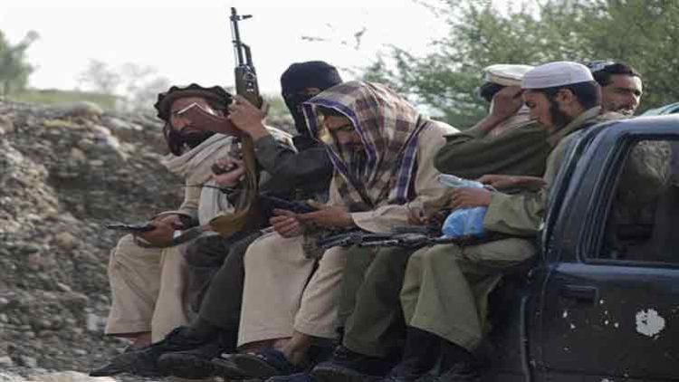 Peace talks enabled TTP to resettle and regroup, Senate told