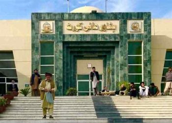 Peshawar High Court admits ‘bat’ doesn’t belong to PTI, restores ECP orders