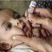 National polio immunization campaign concludes