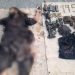Notorious terrorists killed in successful Counter-terrorism operation in NWD
