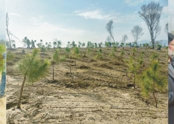 Chairman CDA directs to eliminate environmental pollution