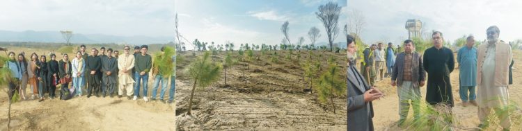 Chairman CDA directs to eliminate environmental pollution