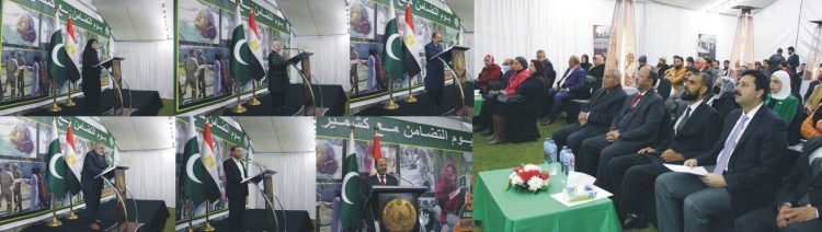 Pakistan Embassy Cairo Observes Kashmir Solidarity Day