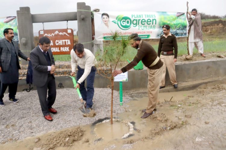 Over 0.4 million saplings to be planted Tree plantation drive kicks off in Attock
