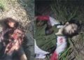 4 terrorists killed in D.I.Khan IBO
