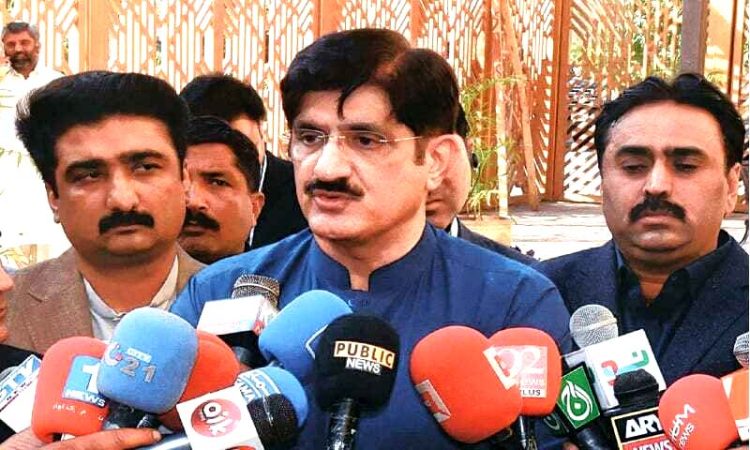 Government faces backlash over Irsa chairman appointment, withdraws controversial notification of Zafar Mahmood amid PPP opposition
