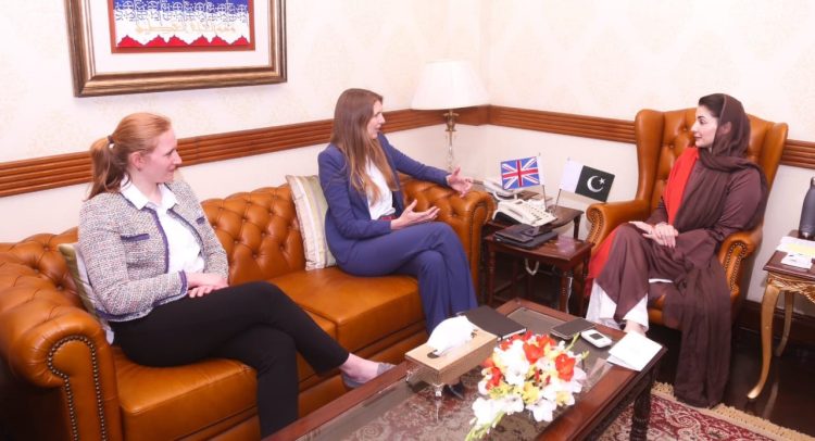 British High Commissioner called upon Chief Minister Punjab
