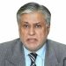 Foreign Minister Ishaq Dar appointed Deputy Prime Minister