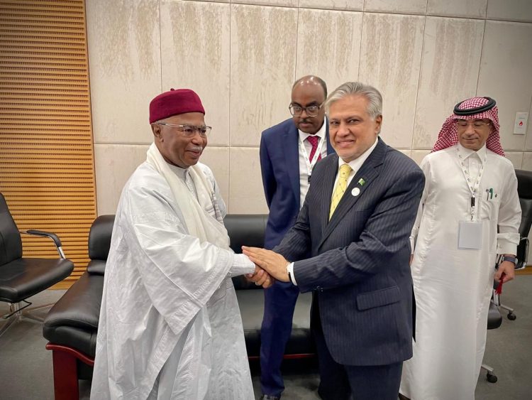 Deputy Prime Minister meets OIC Secretary General
