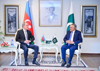 Deputy Prime Minister meets Foreign Minister of Azerbaijan