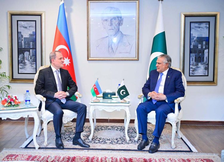 Deputy Prime Minister meets Foreign Minister of Azerbaijan