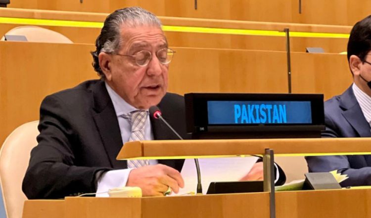 Pakistan wins election for non-permanent seat of the UN Security Council for two years