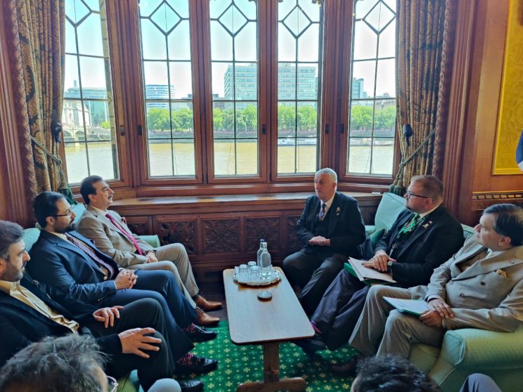 Senate chairman calls for expanding Pak-UK bilateral ties