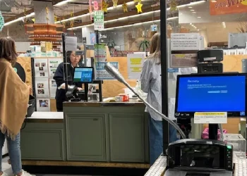 CrowdStrike CEO says company ‘did not suffer cyberattack’