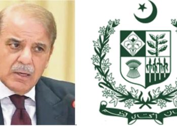 Establishment Division Issues Guidelines for Drafting Terms of Reference for Management Position Scales