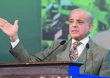 PM Shehbaz calls for hard work, passion to change fate of nation