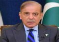 Chinese delegation calls on PM Shehbaz