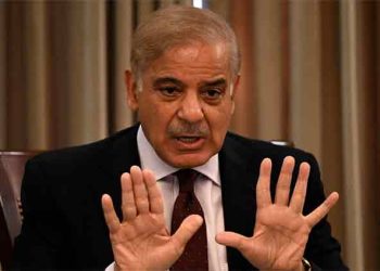 PM Shehbaz pledges all-out support to Kashmiris