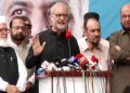 Govt has come up against a brick wall on IPPs, laments Hafiz Naeem