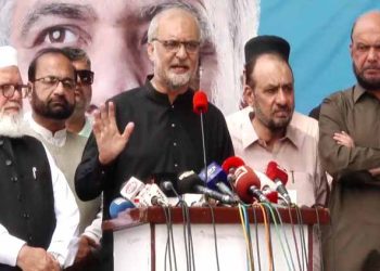 Govt has come up against a brick wall on IPPs, laments Hafiz Naeem