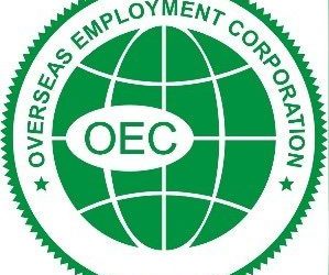 OEC collecting data of nurses for potential opportunities in USA