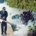 ICT admin launches anti-dengue fumigation drive
