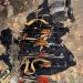 Two Khawarij killed, five apprehended in two separate IBOs in Balochistan