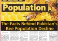The Facts Behind Pakistan’s Bee Population Decline