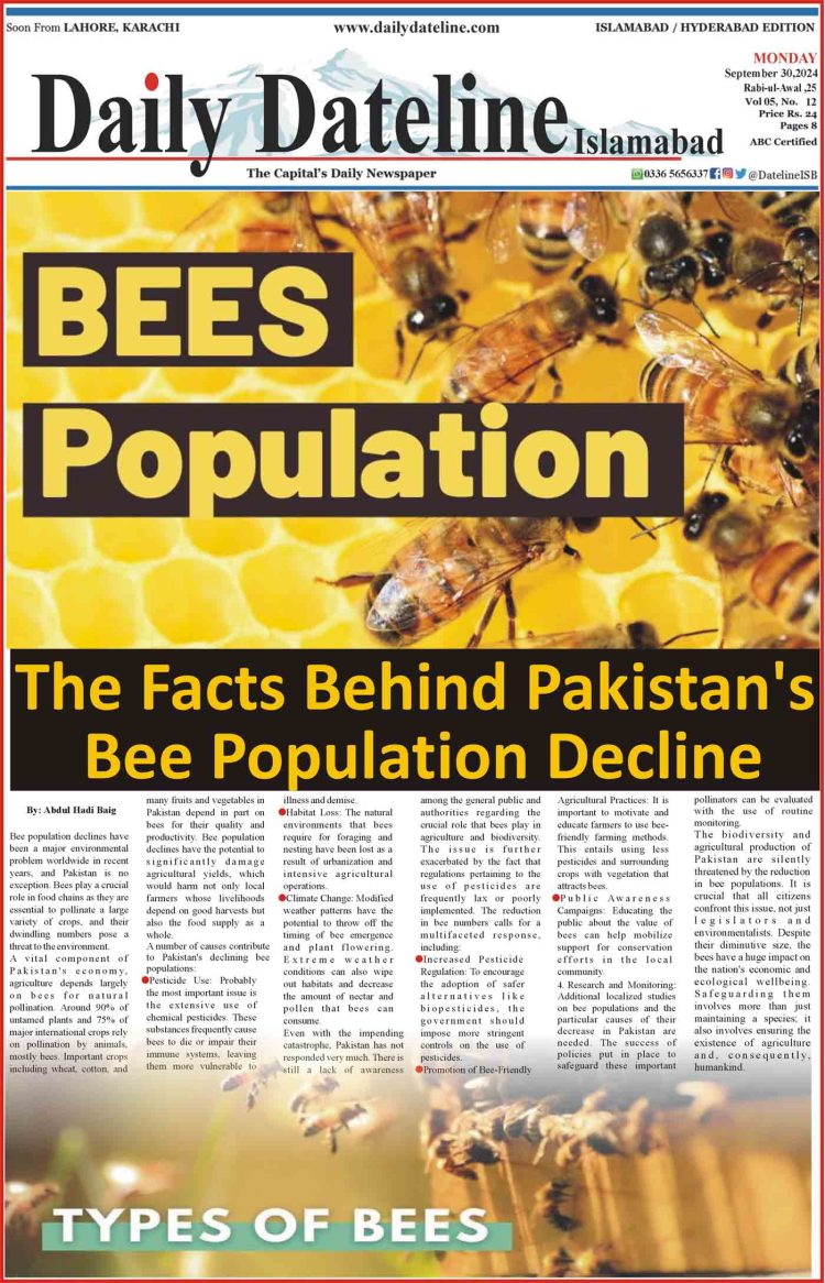 The Facts Behind Pakistan’s Bee Population Decline