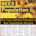 The Facts Behind Pakistan’s Bee Population Decline