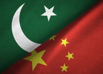 Pak-China B2B meeting to pace up cooperation in animal fodder, fruits and vegetables
