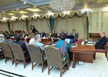 PM directs implementation as ministry presents action plan on $25bln IT exports