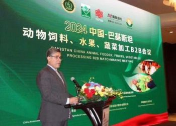 Pakistan, China sign 13 MoUs on fostering joint ventures in animal fodder, fruits, vegetables processing sectorsPakistan’s cuisine