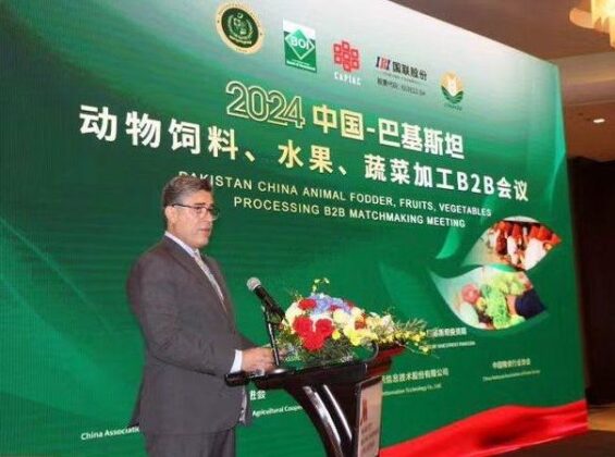 Pakistan, China sign 13 MoUs on fostering joint ventures in animal fodder, fruits, vegetables processing sectorsPakistan’s cuisine