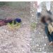 Punjab Police successfully thwarted the terrorist attack at chapri police station Mianwali, eliminated 04 Terrorists: Punjab Police Spokesperson
