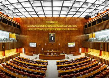 Palestinian students witness Senate proceedings
