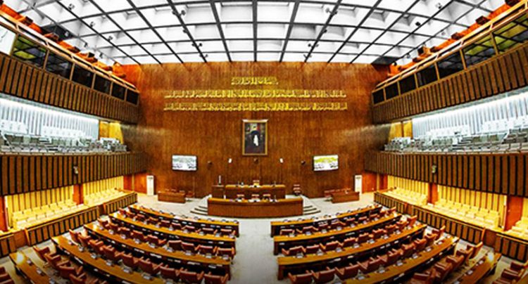 Palestinian students witness Senate proceedings