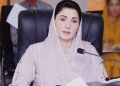 CM Maryam to establish joint working group with China to curb environmental pollution