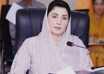 CM Maryam to establish joint working group with China to curb environmental pollution