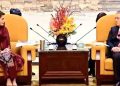 Chinese companies to receive investment incentives in Punjab: CM Maryam