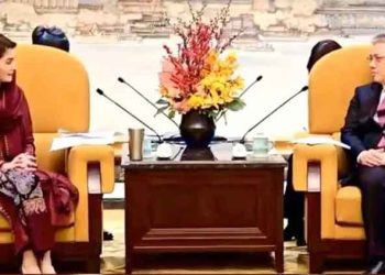 Chinese companies to receive investment incentives in Punjab: CM Maryam