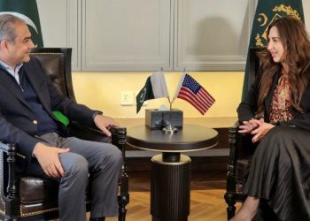 Naqvi, US envoy discuss strengthening ties, modernising law enforcement