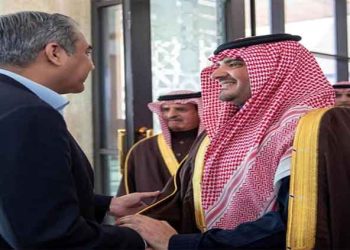 Naqvi discusses security, anti-drug measures with Saudi counterpart in Riyadh