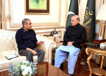 Naqvi meets Shehbaz: discusses security situation