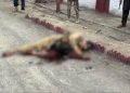 Security Forces kill five Khwarij in Balochistan: ISPR