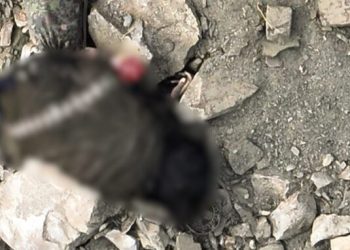 Security Forces foil infiltration attempt on Pak-Afghan border, 5 khwarij killed