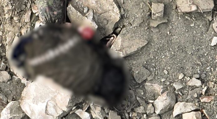 Security Forces foil infiltration attempt on Pak-Afghan border, 5 khwarij killed