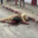 Security Forces kill five Khwarij in Balochistan: ISPR
