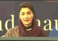 CM Punjab expresses education partnership with Turkiye