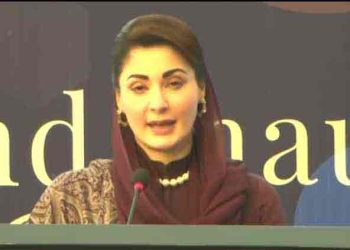 CM Punjab expresses education partnership with Turkiye
